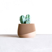 Load image into Gallery viewer, AVANA