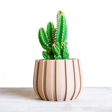 Load image into Gallery viewer, BALTA