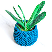 Load image into Gallery viewer, BELIZE BLUE AQVA