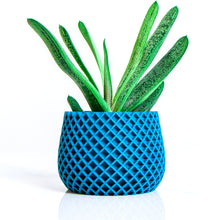 Load image into Gallery viewer, BELIZE BLUE AQVA