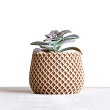 Load image into Gallery viewer, BELIZE BLUE AQVA