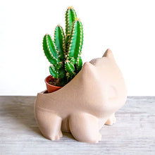 Load image into Gallery viewer, BULBASAUR