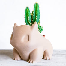 Load image into Gallery viewer, BULBASAUR