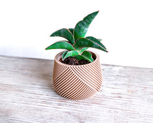 Load the image into the Gallery viewer, CANCUN