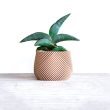 Load the image into the Gallery viewer, CANCUN