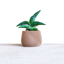 Load the image into the Gallery viewer, CANCUN