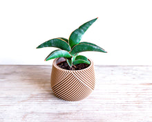 Load the image into the Gallery viewer, CANCUN