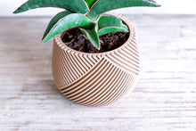 Load the image into the Gallery viewer, CANCUN