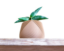 Load the image into the Gallery viewer, CANCUN