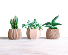 Load the image into the Gallery viewer, CANCUN