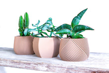 Load image into Gallery viewer, CANCUN BLACK