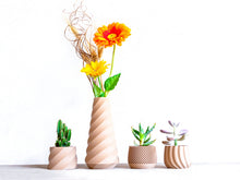 Load image into Gallery viewer, DAKAR