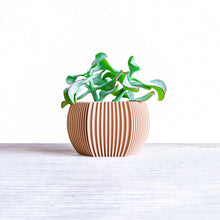 Load image into Gallery viewer, DELHI STRIPED