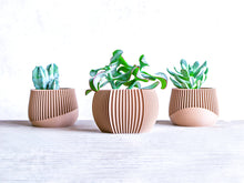 Load image into Gallery viewer, DELHI STRIPED