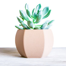 Load image into Gallery viewer, DELHI