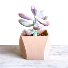 Upload image into Gallery viewer, DOHA