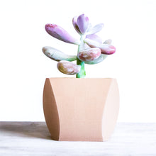 Upload image into Gallery viewer, DOHA