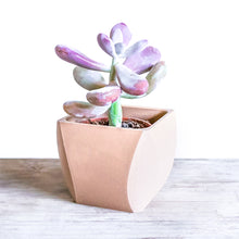 Upload image into Gallery viewer, DOHA