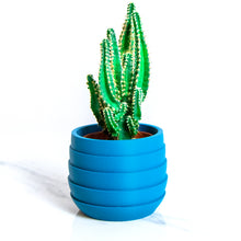 Load image into Gallery viewer, FOULA BLU AQVA