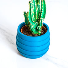 Load image into Gallery viewer, FOULA