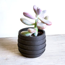 Load image into Gallery viewer, FOULA