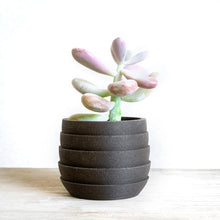 Load image into Gallery viewer, FOULA