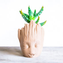 Load the image into the Gallery viewer, GROOT