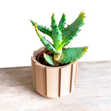 Load image into Gallery viewer, INOR