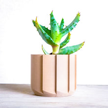 Load image into Gallery viewer, INOR