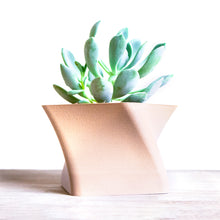 Load image into Gallery viewer, KALAHARI