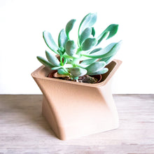 Load image into Gallery viewer, KALAHARI