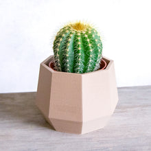 Load image into Gallery viewer, KAUNAS