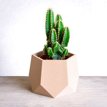 Load image into Gallery viewer, KAZAN