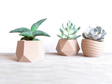 Load image into Gallery viewer, KAZAN