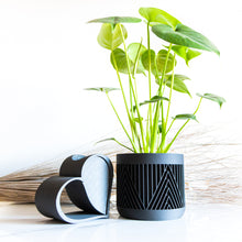 Load image into Gallery viewer, MERIDA LARGE