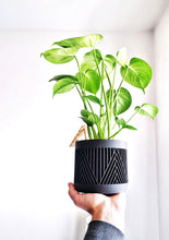 Load image into Gallery viewer, MERIDA LARGE