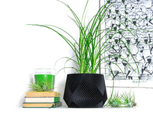 Load image into Gallery viewer, LIMA