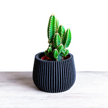 Upload image into Gallery viewer, LONDON