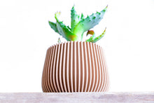 Upload image into Gallery viewer, LONDON