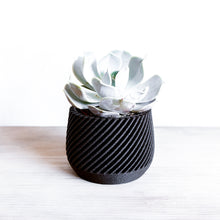 Upload image into Gallery viewer, MADRID