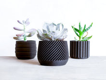 Upload image into Gallery viewer, MADRID