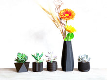 Upload image into Gallery viewer, MADRID