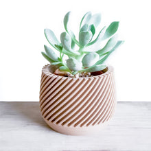 Upload image into Gallery viewer, MADRID