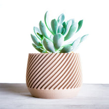 Upload image into Gallery viewer, MADRID