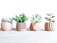 Load image into Gallery viewer, MADRID BLACK