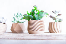 Upload image into Gallery viewer, MADRID