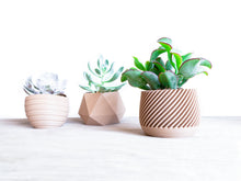 Upload image into Gallery viewer, MADRID