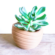 Upload image to Gallery viewer, MAUI