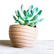 Upload image to Gallery viewer, MAUI