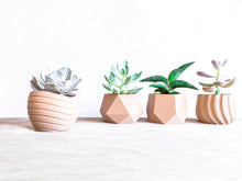 Upload image to Gallery viewer, MAUI